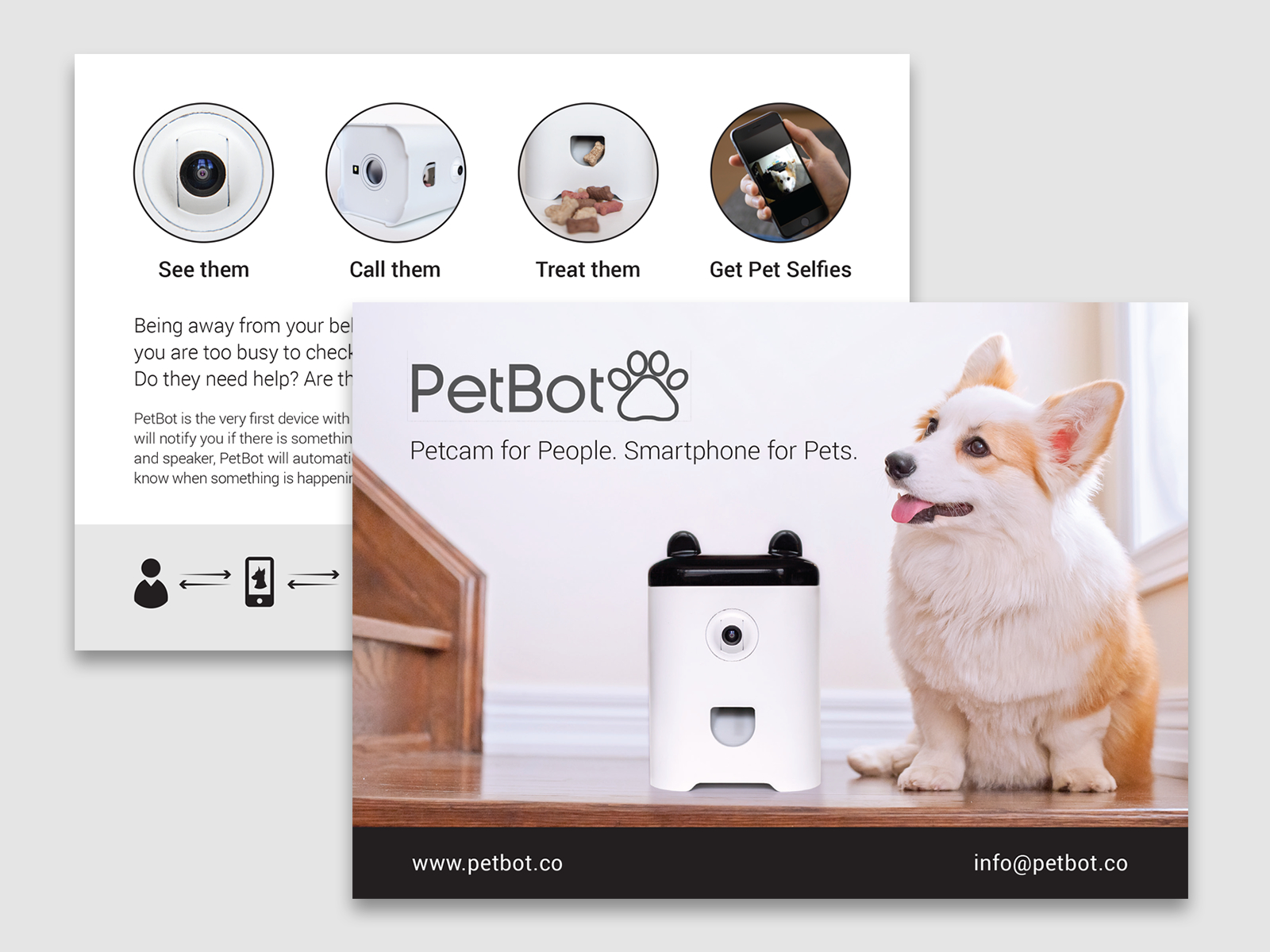 PetBot App Collective Experience Inc